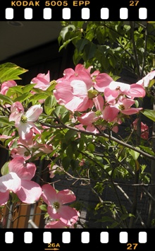 c0157412_2313397.jpg