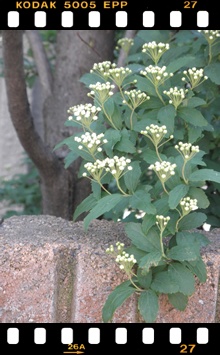c0157412_23142675.jpg