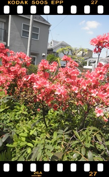 c0157412_23153118.jpg