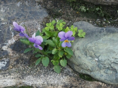 f0239713_21491999.jpg