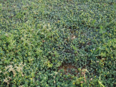 f0239713_21492454.jpg