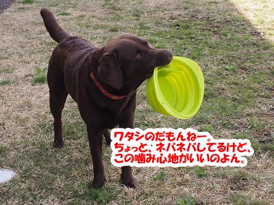 e0192217_130377.jpg