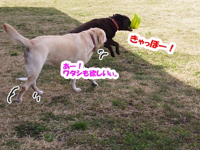e0192217_130978.jpg