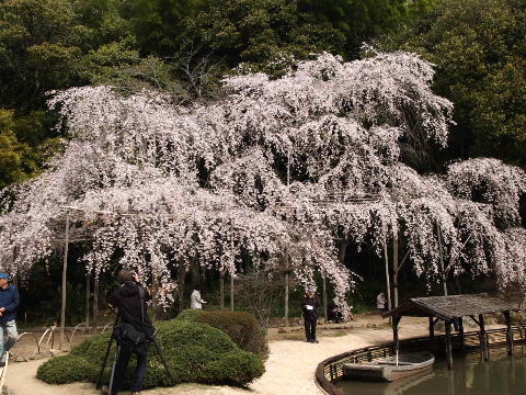 a0157619_2230133.jpg