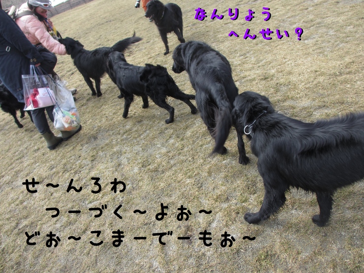 c0237824_14125569.jpg