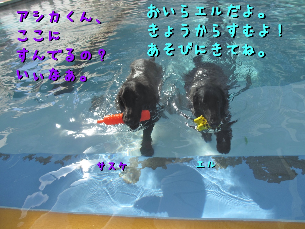 c0237824_22545268.jpg