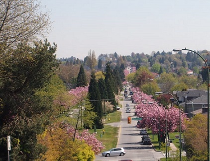 f0111926_304878.jpg