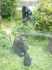 c0188928_15431548.jpg