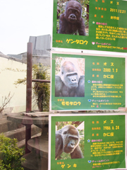 c0188928_15434620.jpg