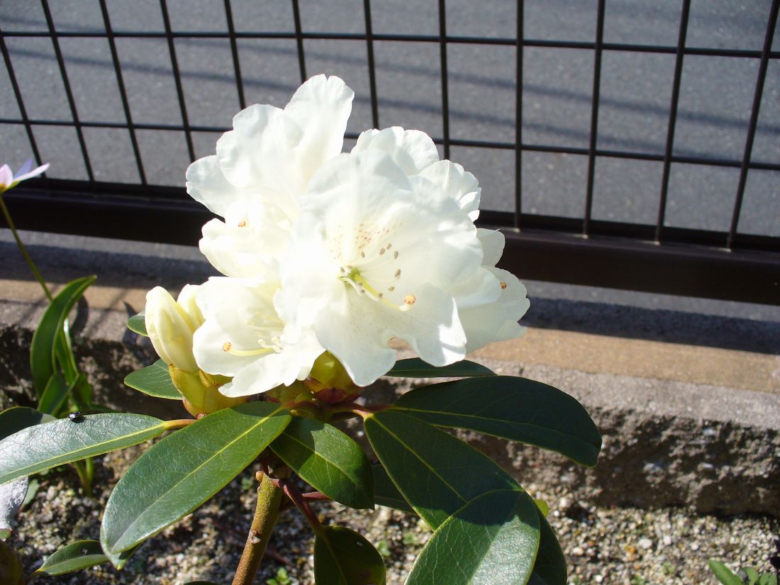 f0275632_20444657.jpg