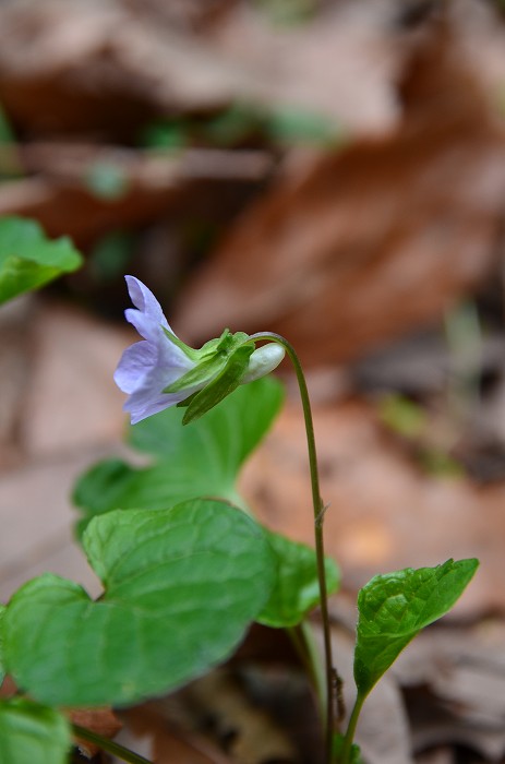 b0236334_20255924.jpg