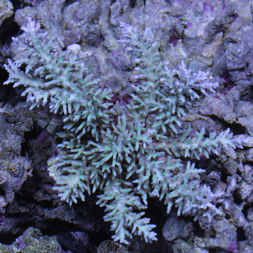 d0221436_22114488.jpg