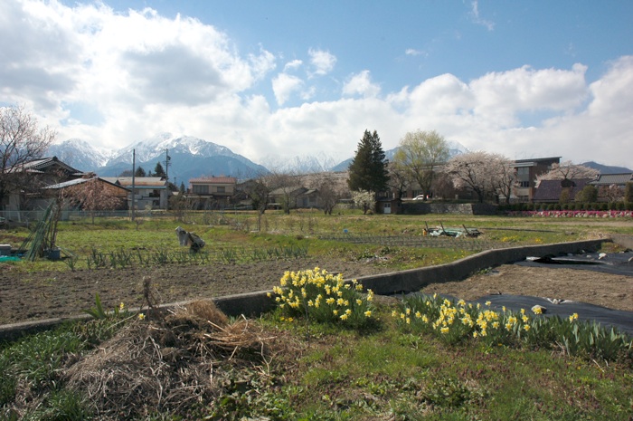 c0002943_0264561.jpg