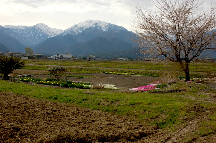 c0002943_0305772.jpg