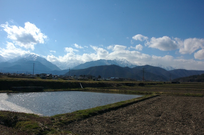 c0002943_0333723.jpg