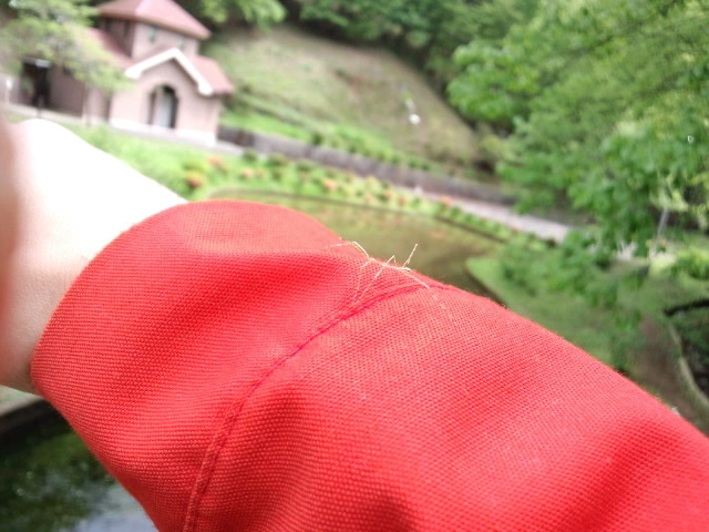 a0192147_1827214.jpg