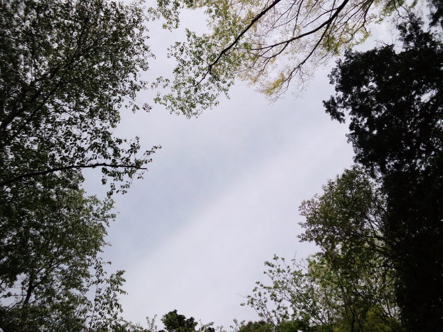 a0192147_9413666.jpg