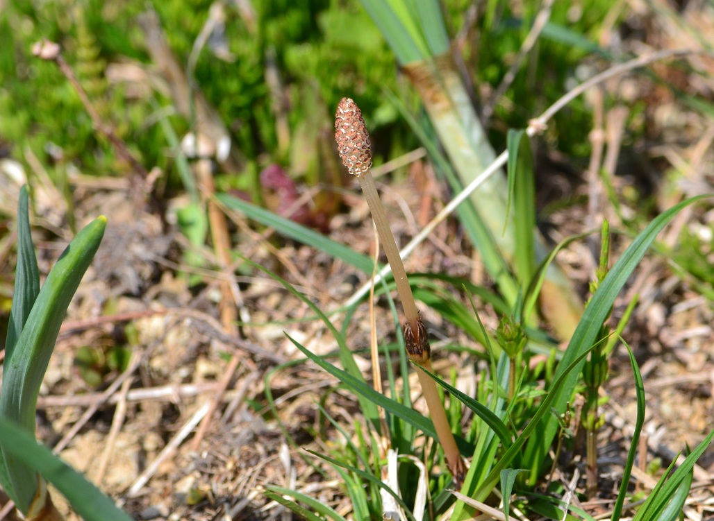 a0055650_6253597.jpg