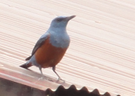 c0108460_2172914.jpg