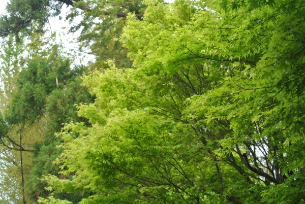 b0141664_085193.jpg