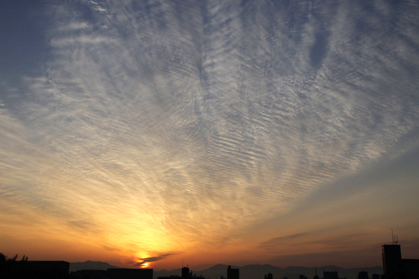 b0170264_1313647.jpg
