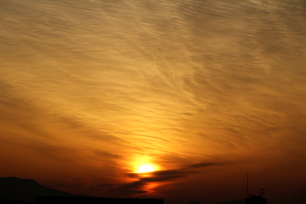 b0170264_1331132.jpg