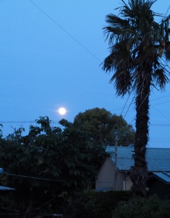 e0278968_23335780.jpg