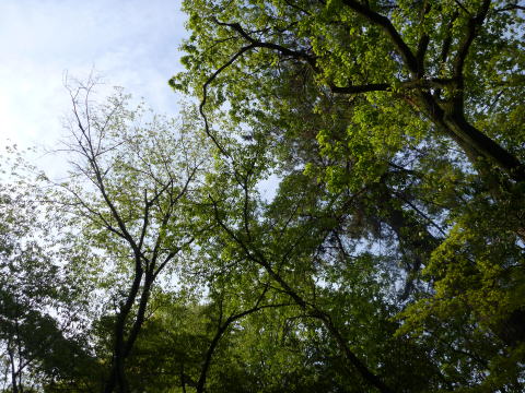 e0161972_1004255.jpg