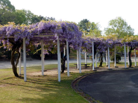 e0161972_102435.jpg