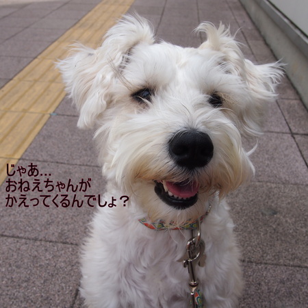 d0264176_22551046.jpg