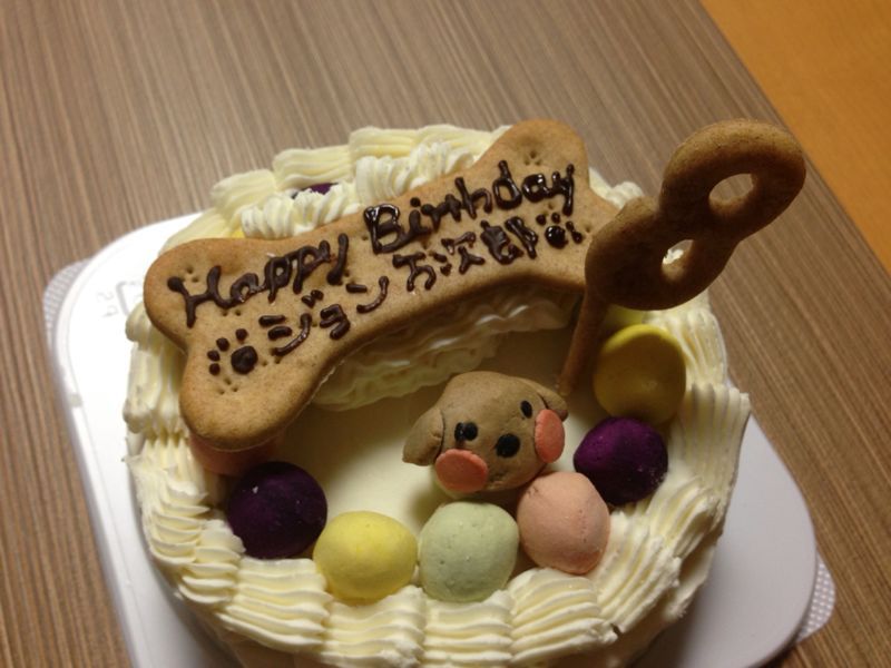 a0040978_2232445.jpg