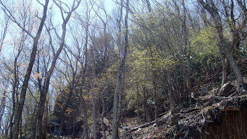 e0024081_1956863.jpg