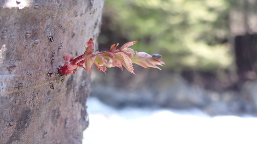 e0024081_20104349.jpg