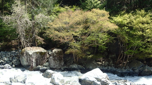 e0024081_20124195.jpg