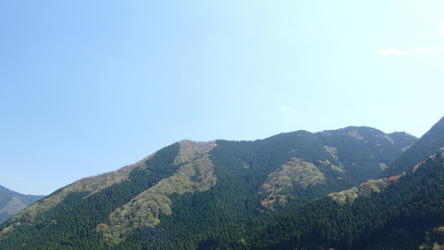 e0024081_20134573.jpg
