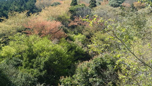 e0024081_20141691.jpg