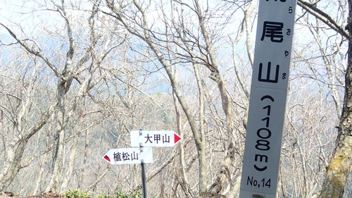 e0024081_2023751.jpg