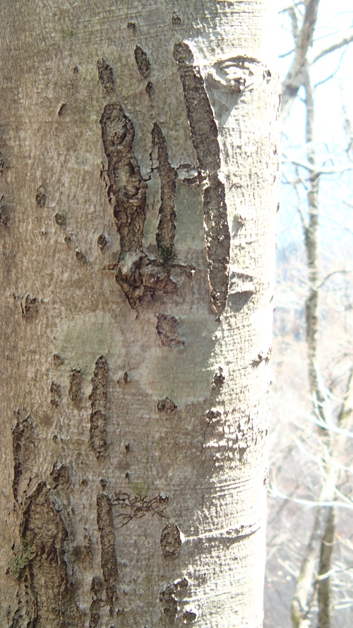e0024081_2031757.jpg