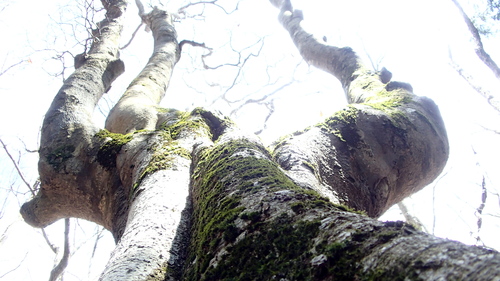 e0024081_2032243.jpg