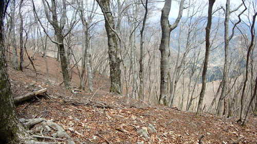 e0024081_204484.jpg