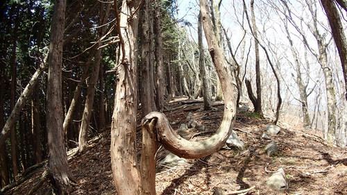 e0024081_2054746.jpg