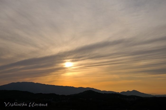 e0092186_2058315.jpg