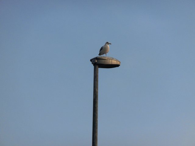 a0082787_2012519.jpg