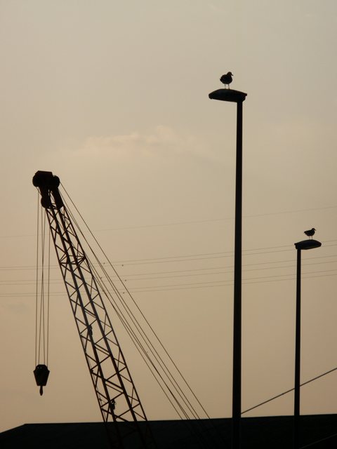 a0082787_2065375.jpg