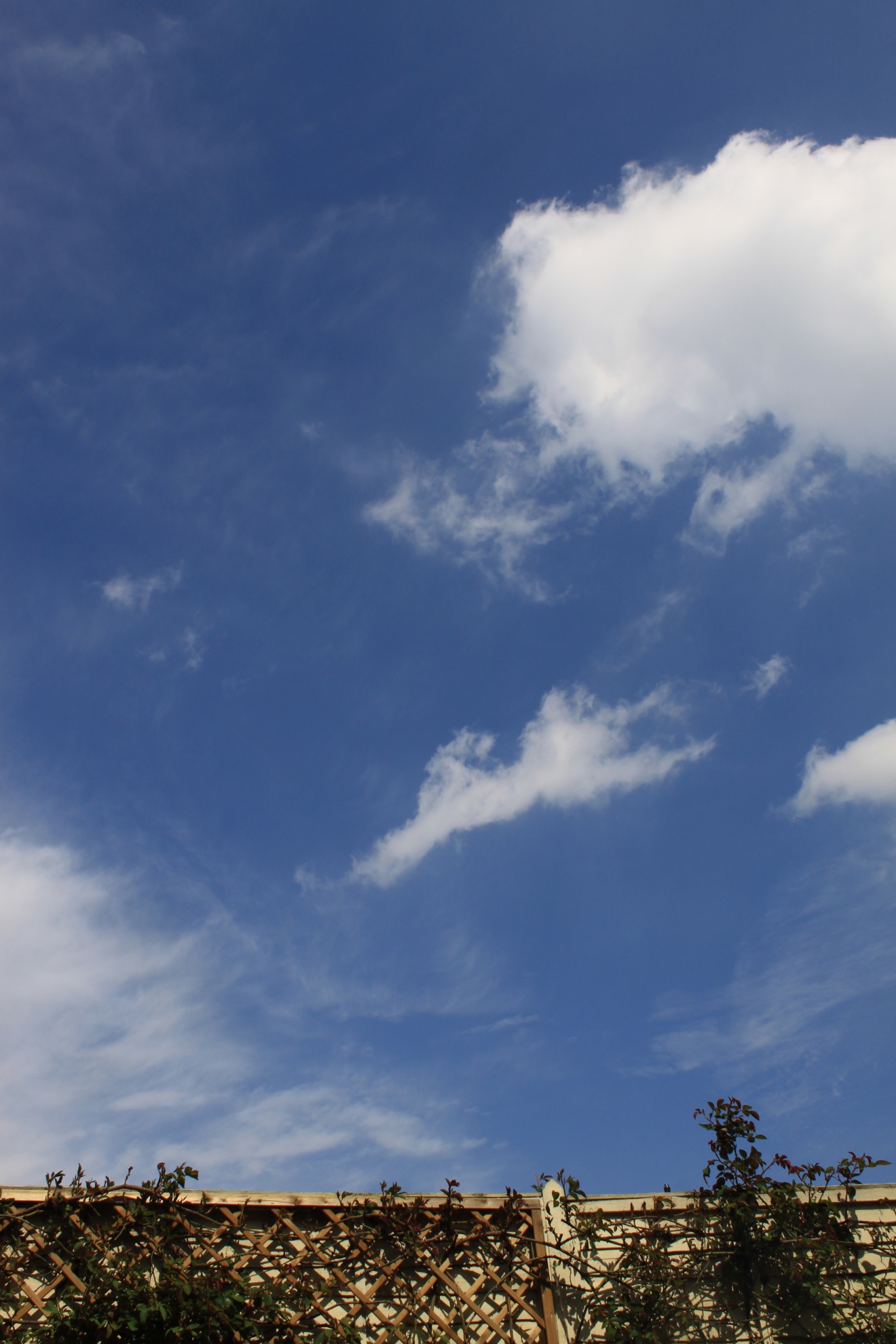 a0137487_2240316.jpg