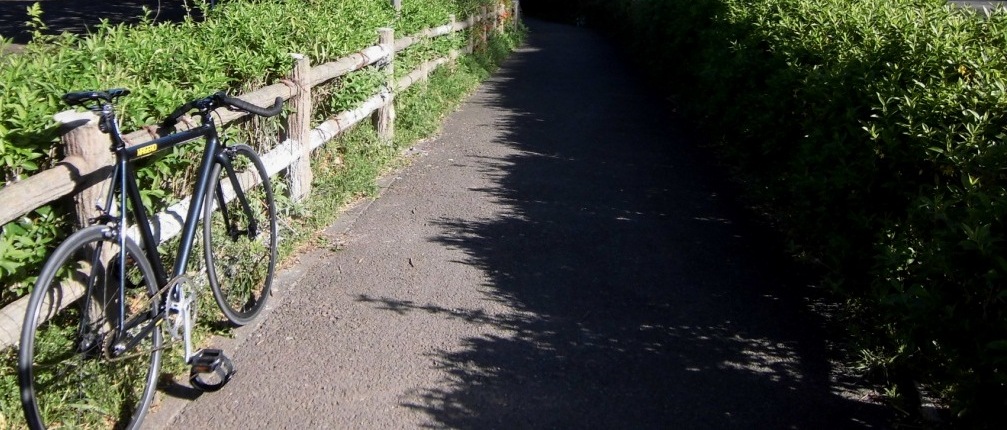 e0107493_4553491.jpg
