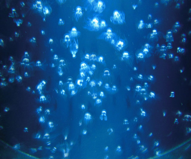 e0013399_20533725.jpg