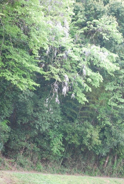 e0025300_17163053.jpg