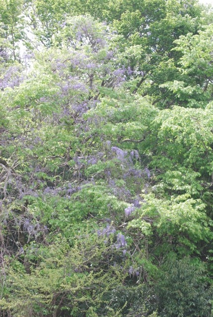 e0025300_17185727.jpg