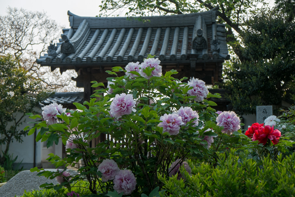 b0221605_2133234.jpg